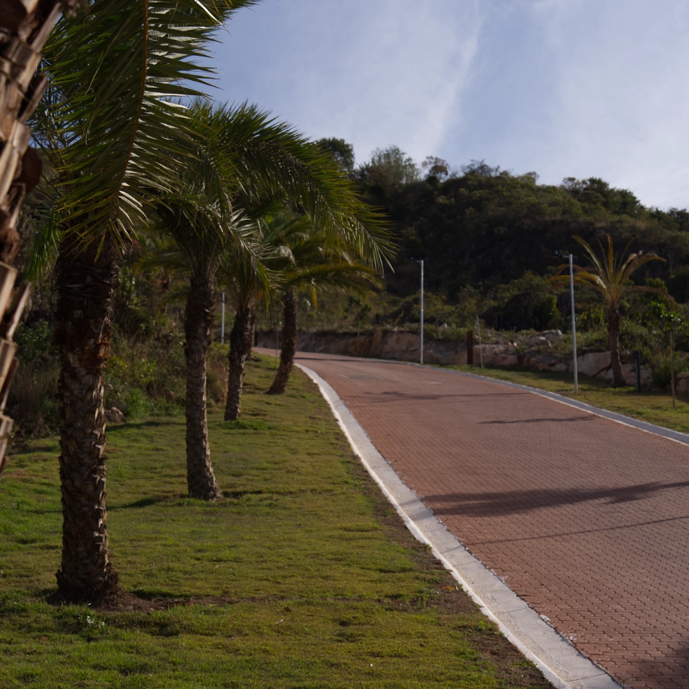 Quintas do Morro – mídia 7